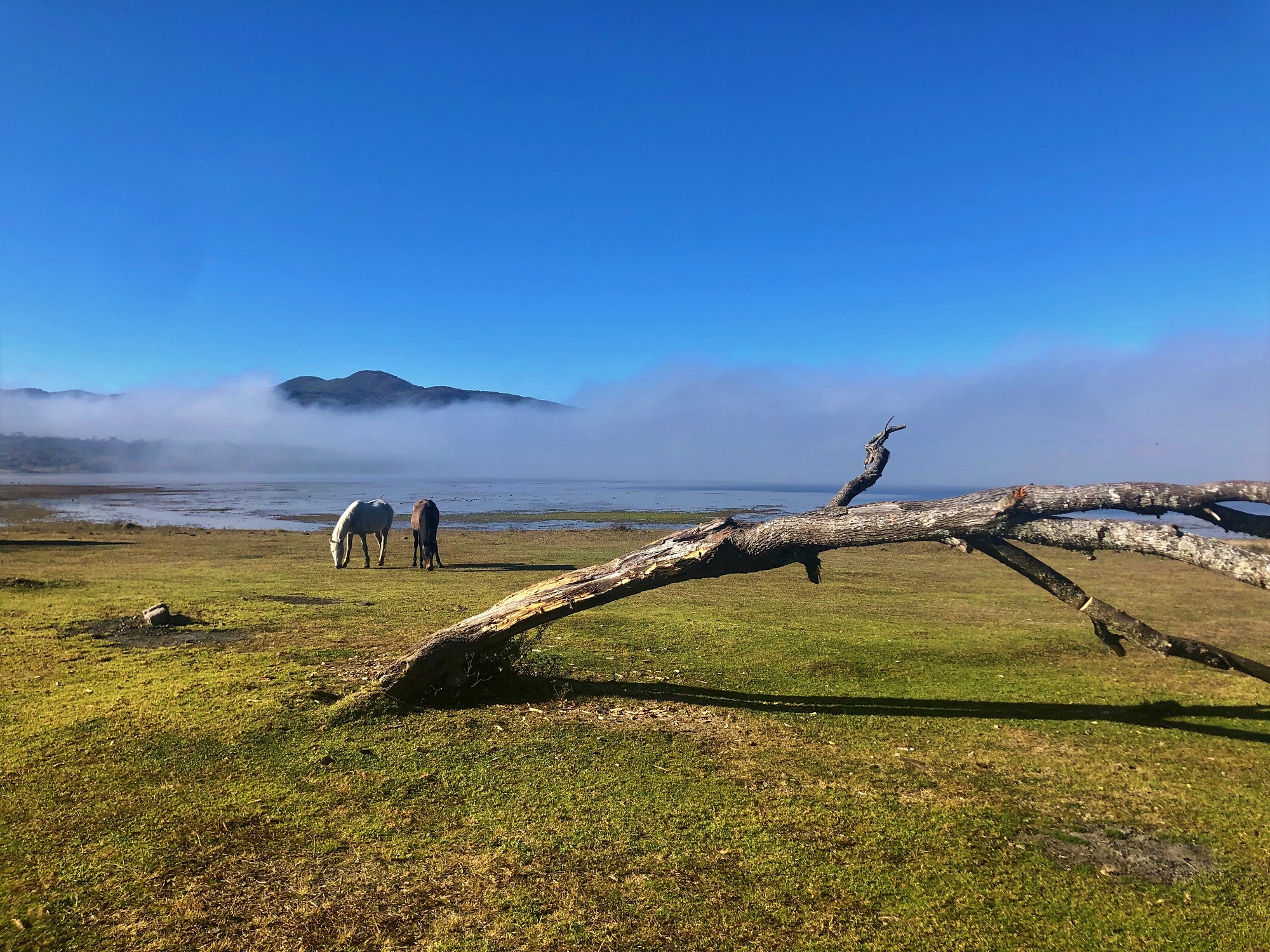 Photos from our Argentina Cycling Holiday